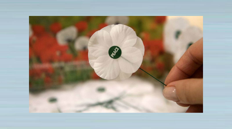 An image representing White Poppy