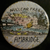 Nuclear Free Ambridge!   